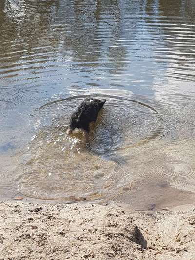 FOTOCHALLANGE NR.71 BADEFREUDE-Beitrag-Bild