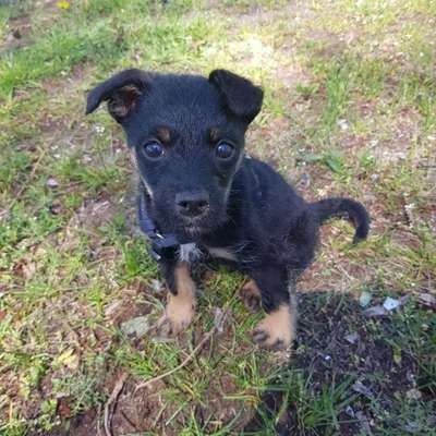 Lieblingsbild-Beitrag-Bild