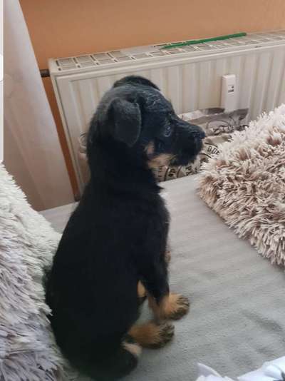 Lieblings Fotos-Beitrag-Bild