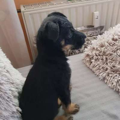 Lieblingsbild-Beitrag-Bild