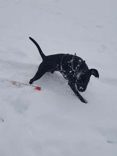 Challenge Nr. 15
Spiel im Schnee-Beitrag-Bild