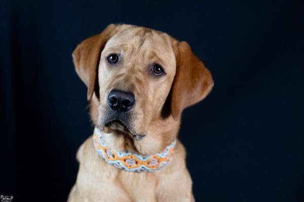 Fotochallange Nr. 57     PORTRÄT.   Beendet!!!!!!!!-Beitrag-Bild