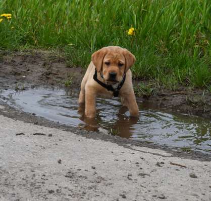 35. Handy Foto Challenge - Das nasse Element-Beitrag-Bild