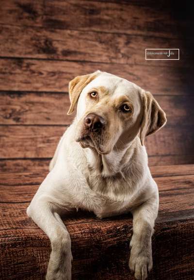 Kopf schief halten-Beitrag-Bild