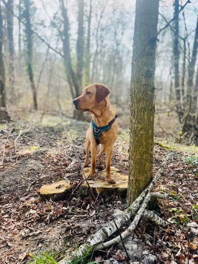 Foto Challenge Nr. 79-Beitrag-Bild