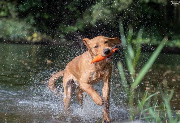 Fotochallenge Nr. 64-Beitrag-Bild