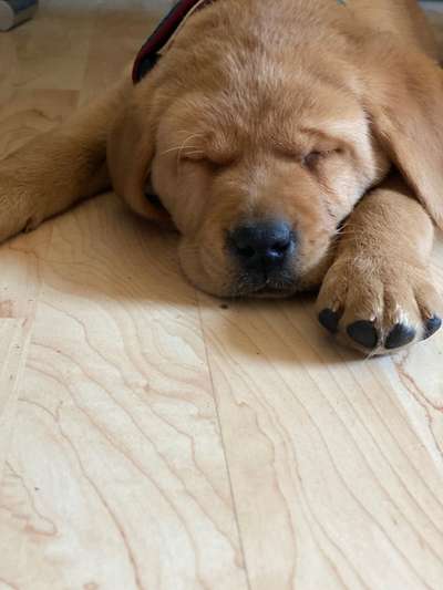 Erstes Bild-Beitrag-Bild