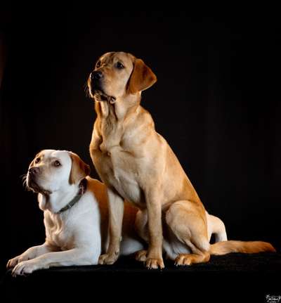 Lieblingsbild-Beitrag-Bild