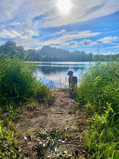 Fotowettbewerb Natur-Beitrag-Bild