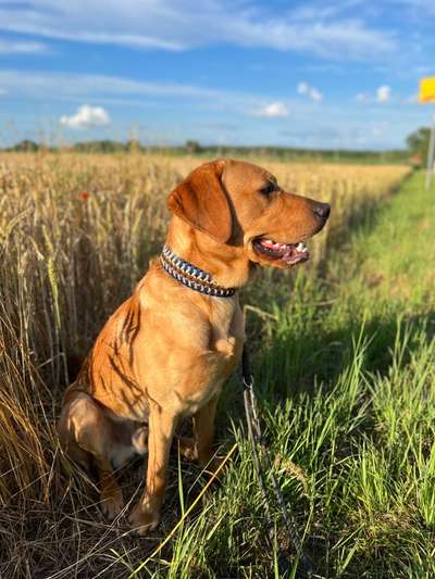 Foto-Challange No.1 - Alles aber nicht die Kamera-Beitrag-Bild