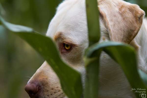 Blick fürs Detail!-Beitrag-Bild