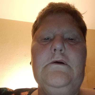 Hundetreffen-Lübeck-Profilbild