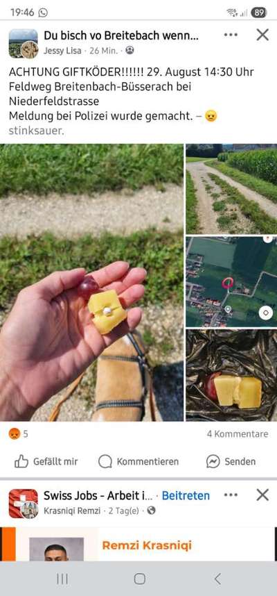 Giftköder-Giftköder Feldweg-Bild