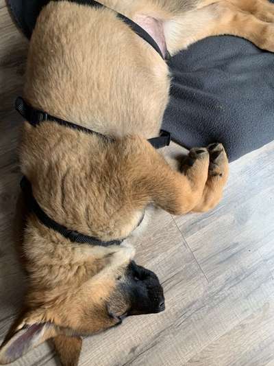 Die unbequemsten und lustigsten Schlafpositionen-Beitrag-Bild