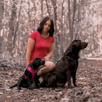 Hundetreffen-Spaziergang mit Spielspaß