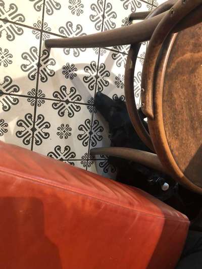 Impulskontrolle Challenge Nr.: 7
         "Gesellschaftsfähig"-Beitrag-Bild