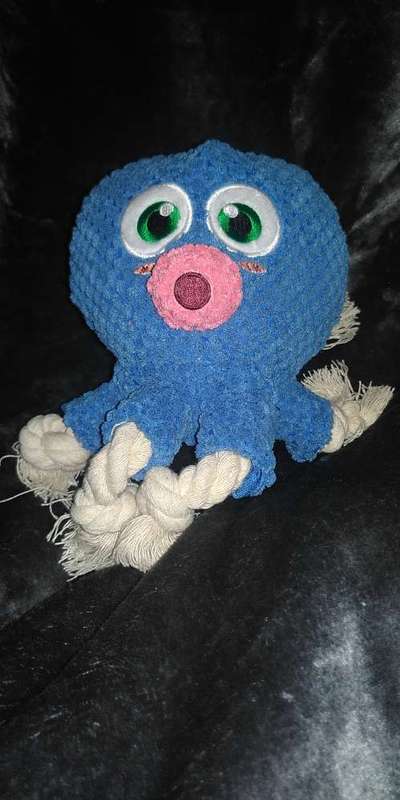 TierschutzhundeStammtisch🐕-Beitrag-Bild