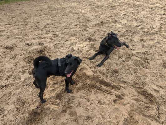 Fotochallenge 130-Beitrag-Bild