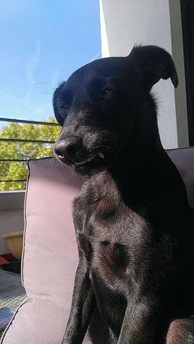 20. Handy -Foto-Callenge-Beitrag-Bild