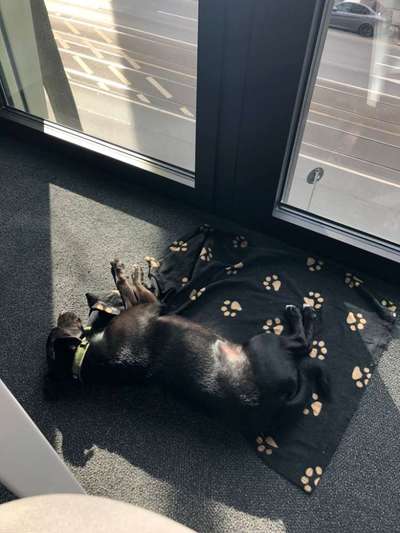 Impulskontrolle Challenge Nr.: 7
         "Gesellschaftsfähig"-Beitrag-Bild