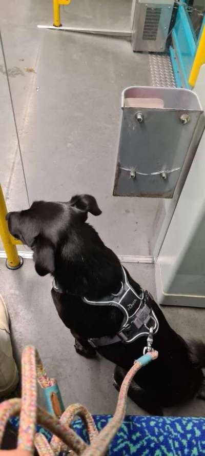 Impulskontrolle Challenge Nr.: 7
         "Gesellschaftsfähig"-Beitrag-Bild