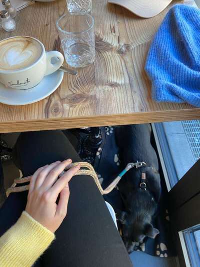 Impulskontrolle Challenge Nr.: 7
         "Gesellschaftsfähig"-Beitrag-Bild