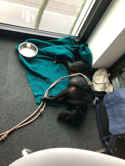 Impulskontrolle Challenge Nr.: 7
         "Gesellschaftsfähig"-Beitrag-Bild