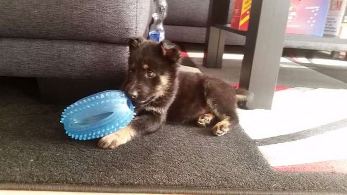 Vorher.... Nachher-Beitrag-Bild