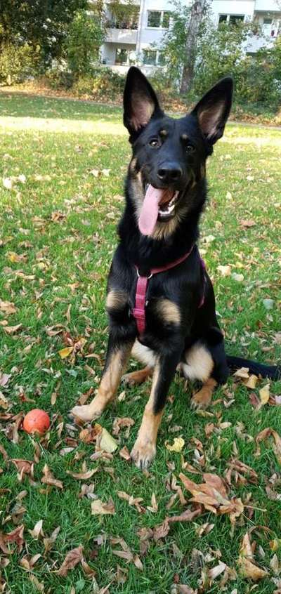 Vorher.... Nachher-Beitrag-Bild