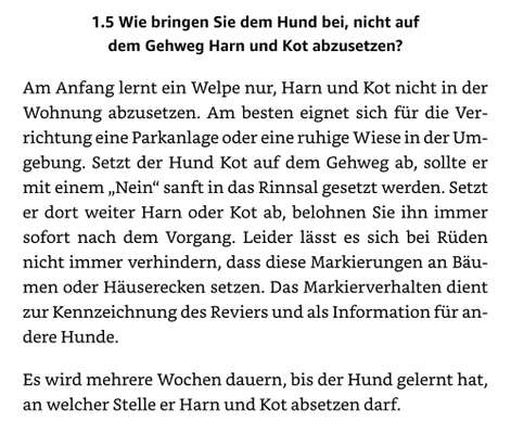 Kein Futter vom Boden aufnehmen vs. Futtersuchspiele-Beitrag-Bild