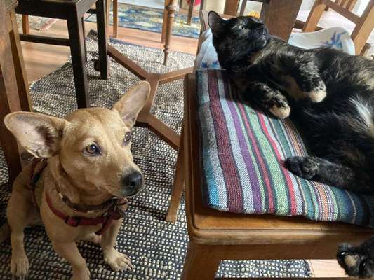 15. Handyfoto Challenge - Indoor Aktivitäten-Beitrag-Bild