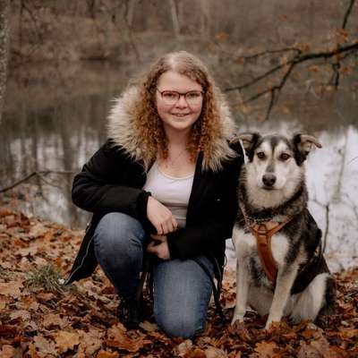 Hundetreffen-Gassi Freunde-Profilbild