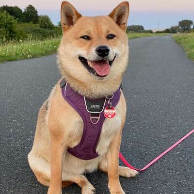 Erstes Bild-Beitrag-Bild