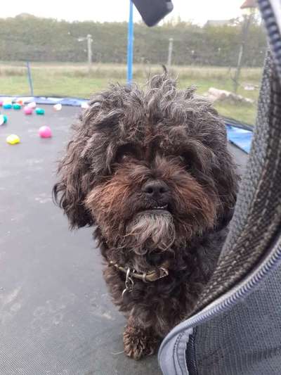 Fotochallange Nr. 57     PORTRÄT.   Beendet!!!!!!!!-Beitrag-Bild