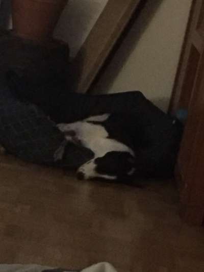 Die unbequemsten und lustigsten Schlafpositionen-Beitrag-Bild