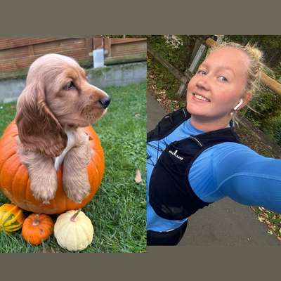 Hundetreffen-Gassitreffen/ Spieltreffen ✨-Bild