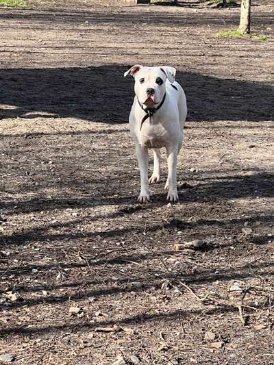 Erstes Bild-Beitrag-Bild