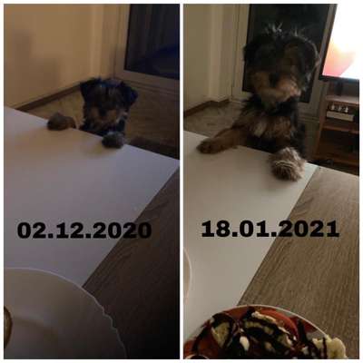 Vorher.... Nachher-Beitrag-Bild