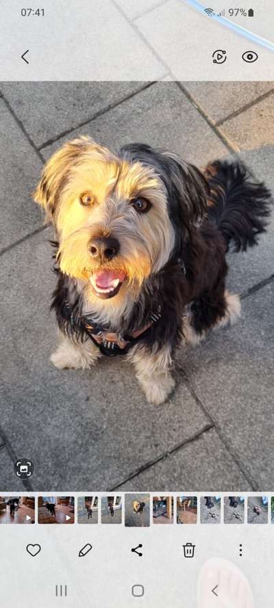 Zeigt eure Portraits-Beitrag-Bild