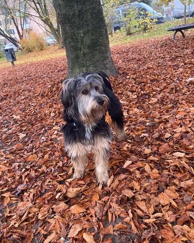 Fotochallange Nr. 57     PORTRÄT.   Beendet!!!!!!!!-Beitrag-Bild