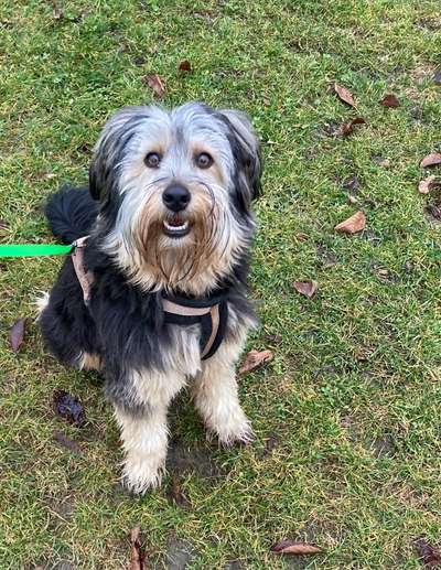 Fotochallange Nr. 57     PORTRÄT.   Beendet!!!!!!!!-Beitrag-Bild