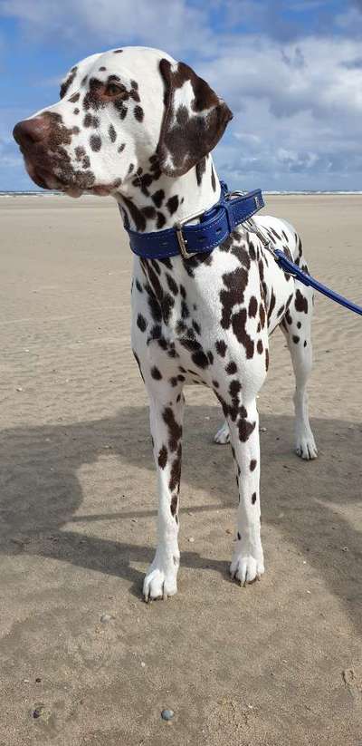 Fotochallange Nr. 57     PORTRÄT.   Beendet!!!!!!!!-Beitrag-Bild