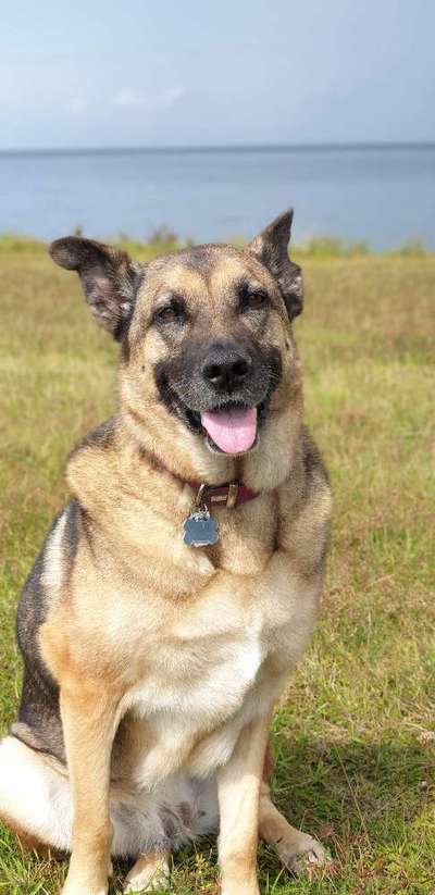 Fotochallange Nr. 57     PORTRÄT.   Beendet!!!!!!!!-Beitrag-Bild