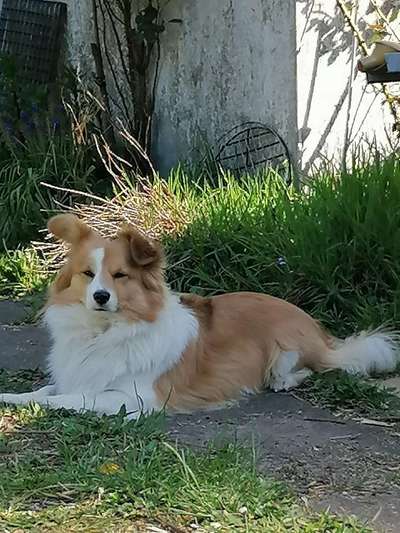 42.Fotochallenge - Eure schönen Momente beim Spaziergang-Beitrag-Bild