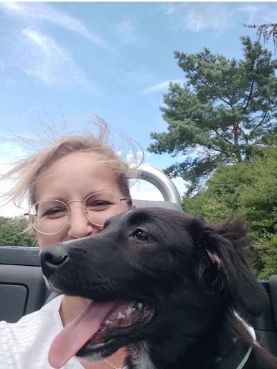 Die Dogorama Wochen Challenge-Beitrag-Bild