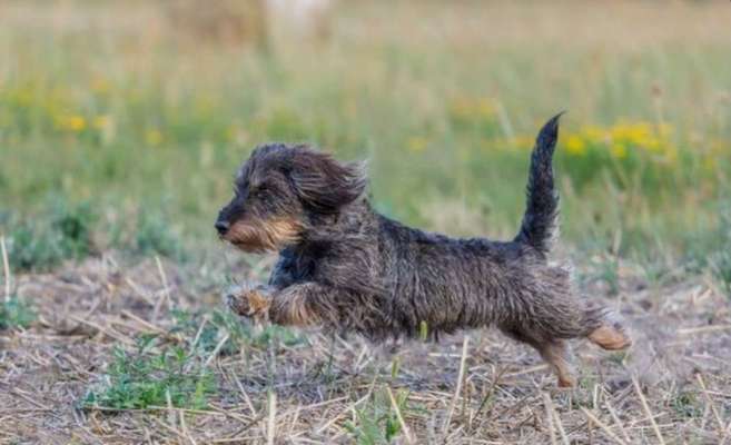 Fotochallenge Nr. 126-Beitrag-Bild