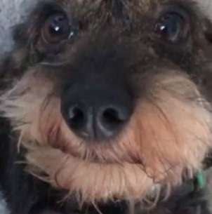 42. Handy Fotochallenge - Den richtigen Riecher haben-Beitrag-Bild