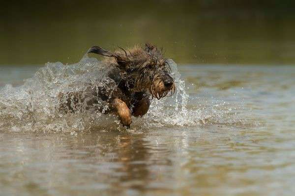 Theos Fotochallange Nummer 4-Beitrag-Bild