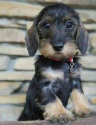 Fotochallange Nummer 5-Beitrag-Bild