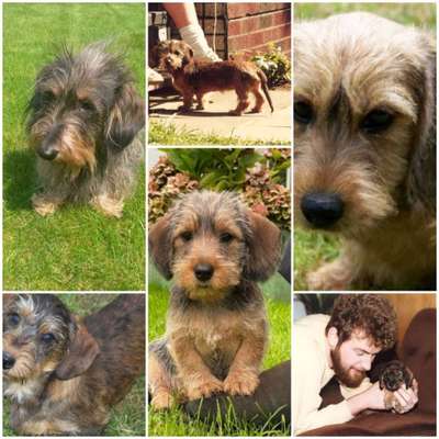 23. Collagen-Challenge: Portraits-Beitrag-Bild